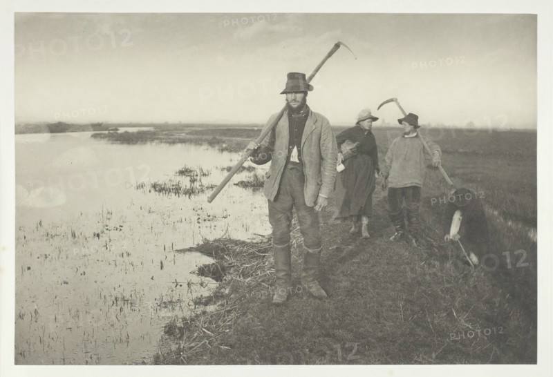 Coming Home from the Marshes, 1886. Creator: Peter Henry Emerson.