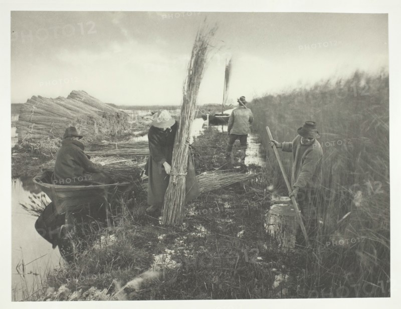 During the Reed Harvest, 1886. Creator: Peter Henry Emerson.
