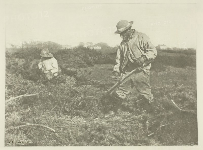 Furze-Cutting on a Suffolk Common, c. 1883/87, printed 1888. Creator: Peter Henry Emerson.