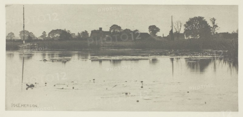 The Fringe of the Mere, c. 1883/87, printed 1888. Creator: Peter Henry Emerson.