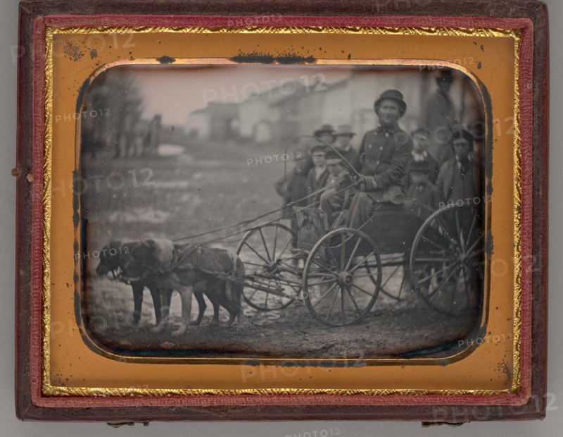Untitled (Alfred Crandon Dog Team), 1850. Creator: Unknown.