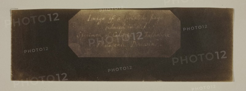 Specimen of Calotype of Talbotype, Photogenic Drawing [label], c. 1840/41. Creator: William Henry Fox Talbot.
