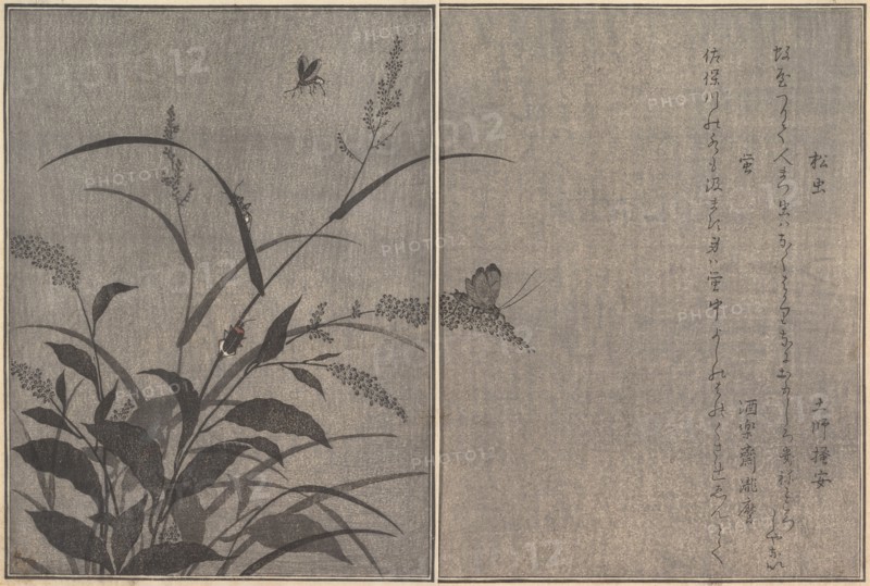 Tree cricket (Matsumushi); Firefly (Hotaru)..., 1788. Creator: Kitagawa Utamaro.