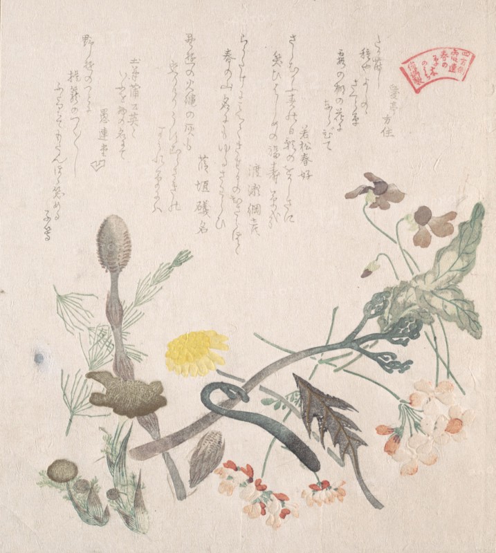 Violets, Primroses and Other Spring Flowers, 19th century. Creator: Kubo Shunman.