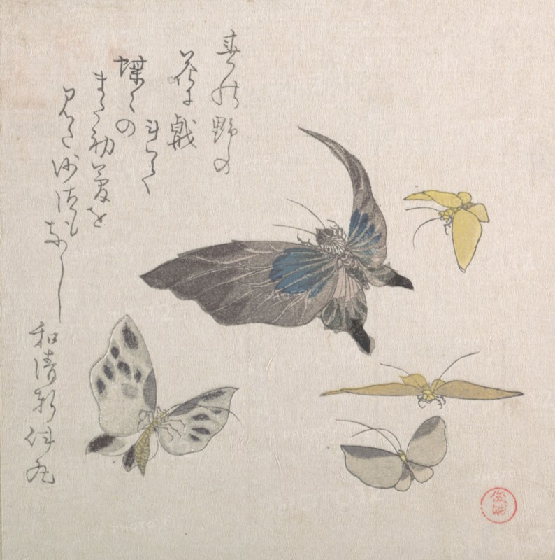 Butterflies, 19th century. Creator: Kubo Shunman.