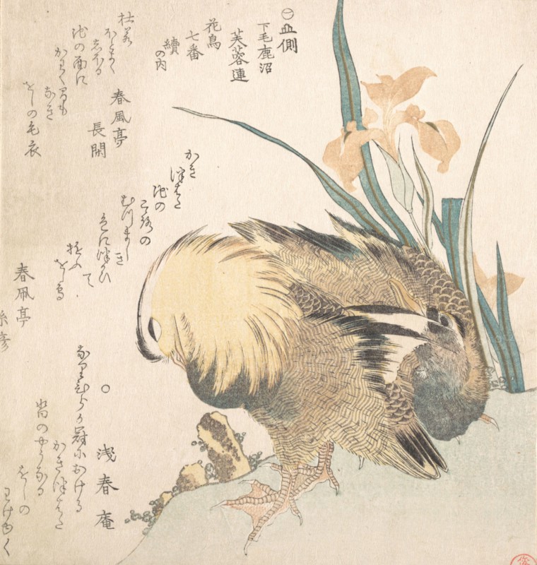 Pair of Mandarin Ducks and Iris Flowers, late 18th-early 19th century. Creator: Kubo Shunman.