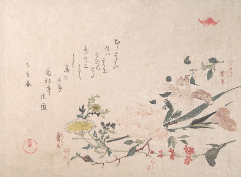 Rose, Iris, Primrose and Daisy, 1815. Creator: Kubo Shunman.