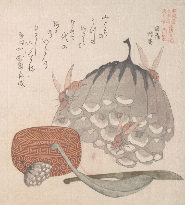 Hives with Wasps, and a Box with a Spoon for Honey, 19th century. Creator: Kubo Shunman.