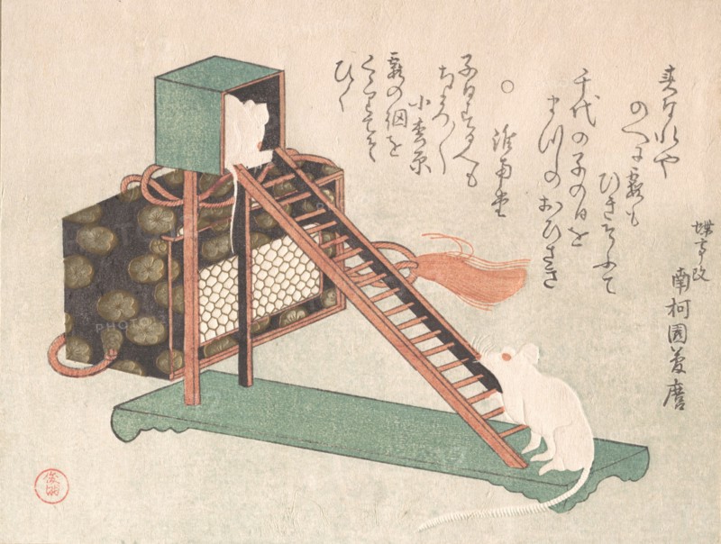 White Mice Playing, probably 1816. Creator: Kubo Shunman.