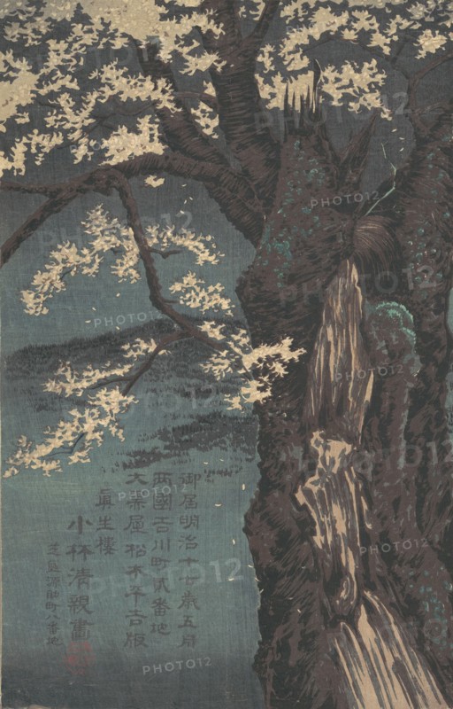 Cherry Tree, dated 1874. Creator: Kobayashi Kiyochika.
