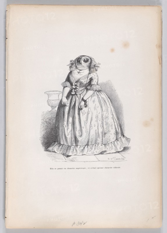 She posed herself as a superior owl, and was just a ridiculous owl from Scenes from..., ca. 1837-47. Creator: François Rouget.