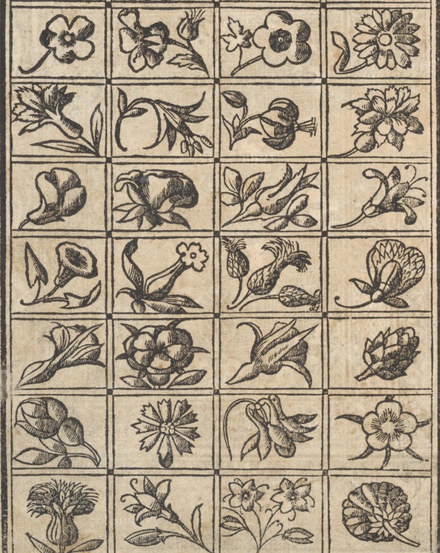 Essempio di recammi, page 10 (verso), 1530. Creator: Giovanni Antonio Tagliente.