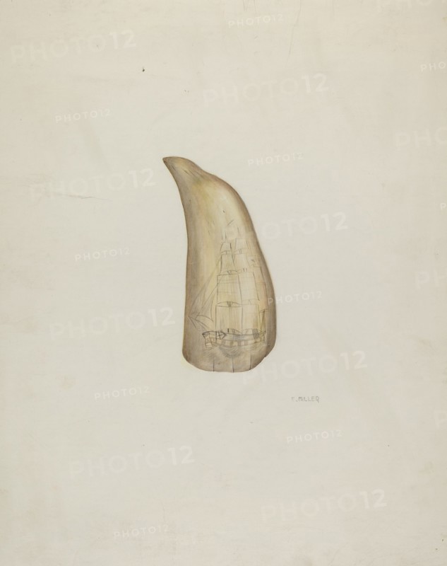 Scrimshaw, c. 1937. Creator: Edith Miller.