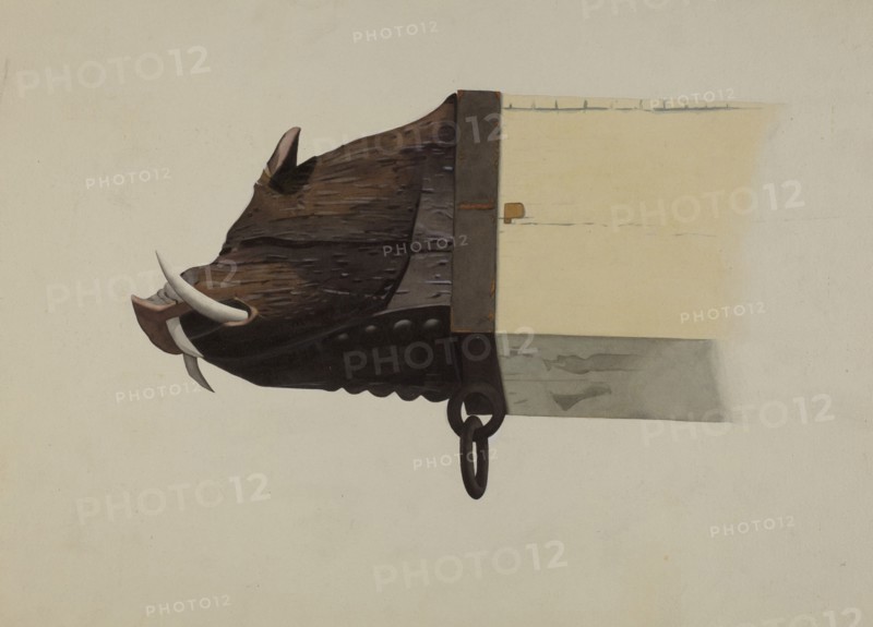 Boar's Head, c. 1941. Creator: Joseph Goldberg.