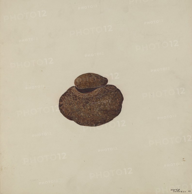 Stone Carved Out to Hold War Paint, c. 1941. Creator: Marie Lutrell.