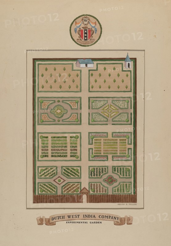 Dutch West India Company, c. 1936. Creator: Helen Miller.