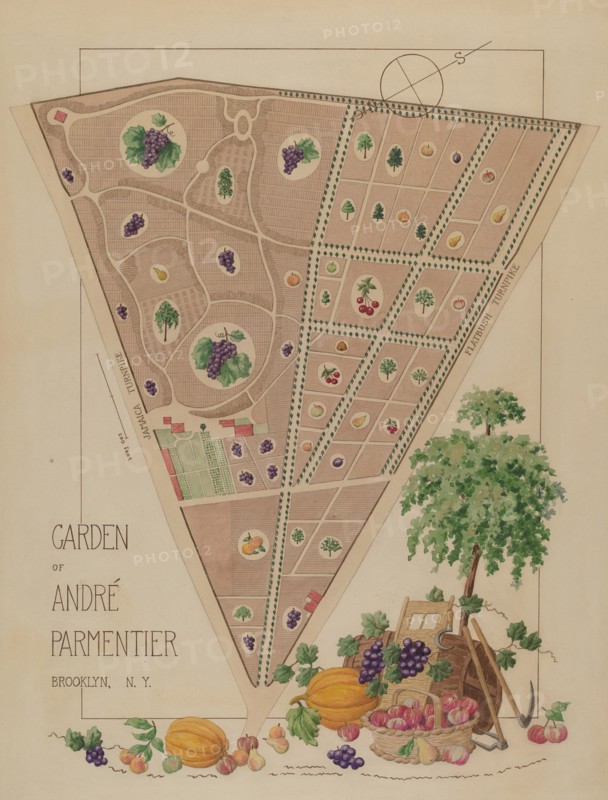 Andre Parmentier Garden, c. 1936. Creator: Helen Miller.