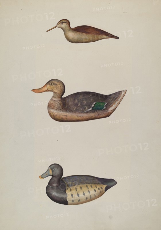 Three Decoy Ducks, c. 1937. Creator: Harriette Gale.