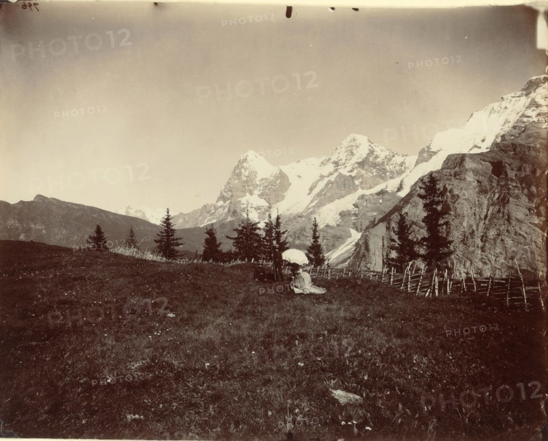 Landscape, Switzerland, c. 1860. Creator: Adolphe Braun.