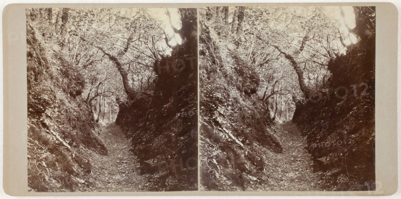Untitled (Lydford), 1860s. Creator: Unknown.