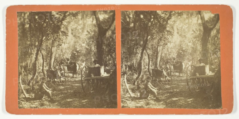 Moss Avenue, Fort George, Florida, 1872. Creator: Unknown.