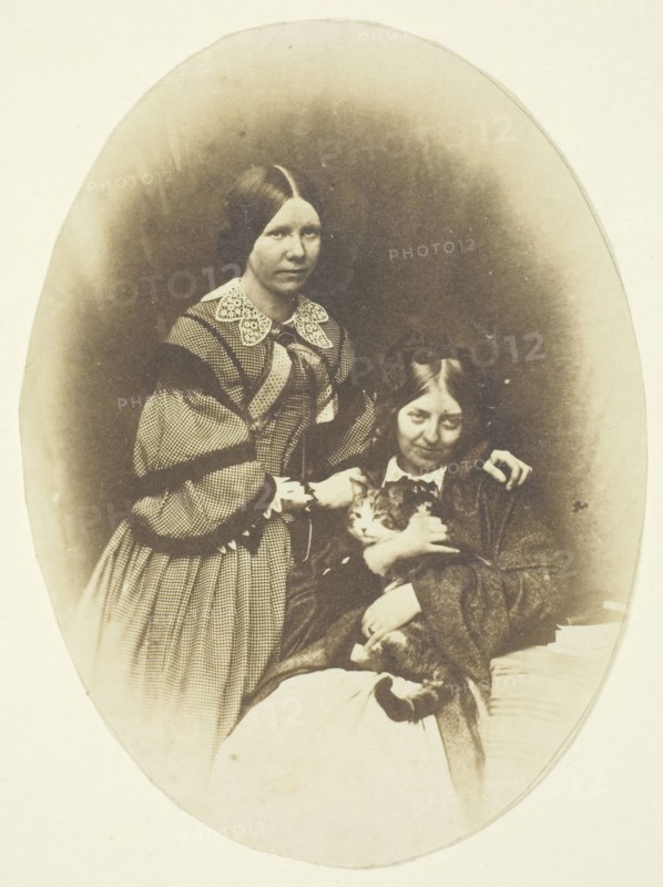 Mrs. Craik Holding Cat, c. 1858. Creators: Unknown, Benjamin Mulock.