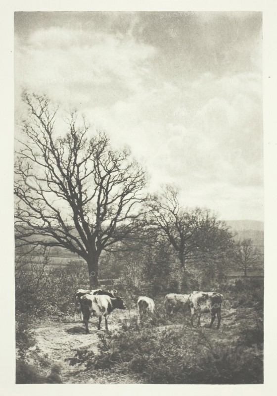 A Windy Corner, 1880/90, printed January 1891. Creator: B. Gay Wilkinson.