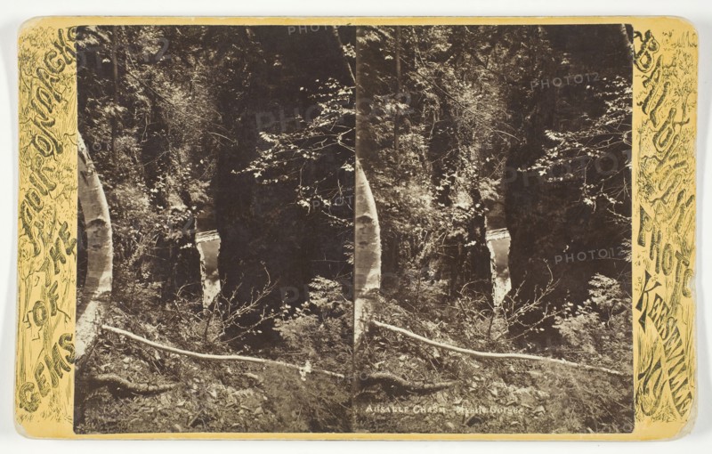Ausable Chasm - Mystic Gorge, late 19th century. Creator: Baldwin Photo.