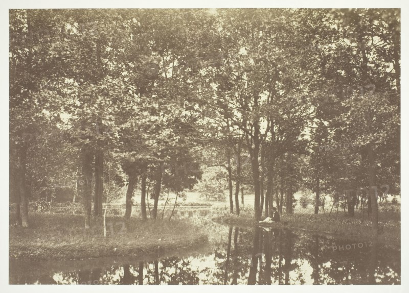 Untitled, c. 1850. [Trees near water in the Bois de Boulogne, a park in Paris].  Creator: Charles Marville.