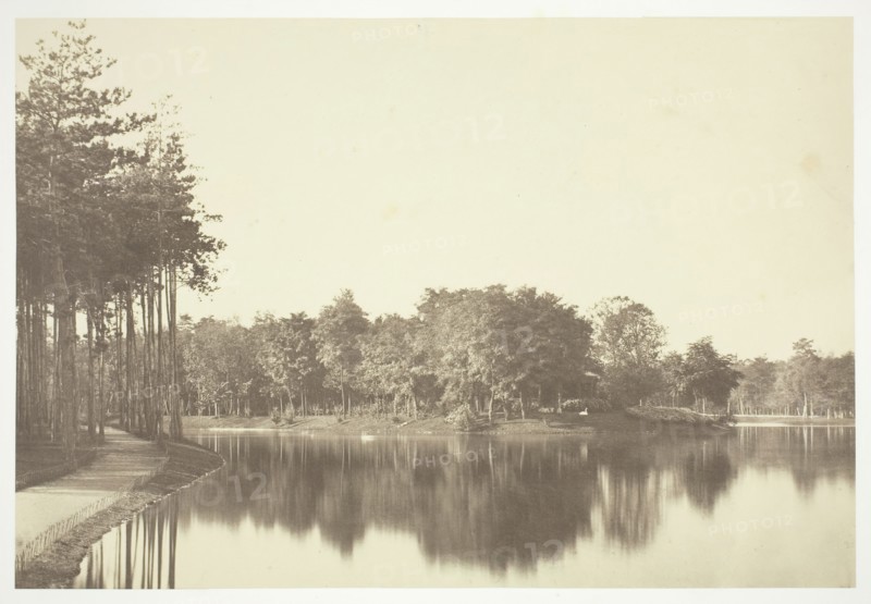 Untitled, c. 1850. [Trees near water in the Bois de Boulogne, a park in Paris].  Creator: Charles Marville.