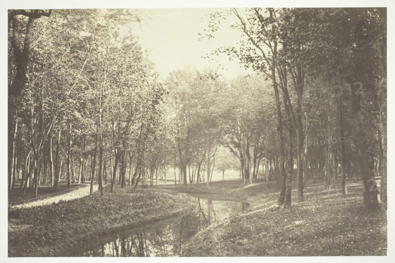Untitled, c. 1850. [Trees near water in the Bois de Boulogne, a park in Paris].  Creator: Charles Marville.