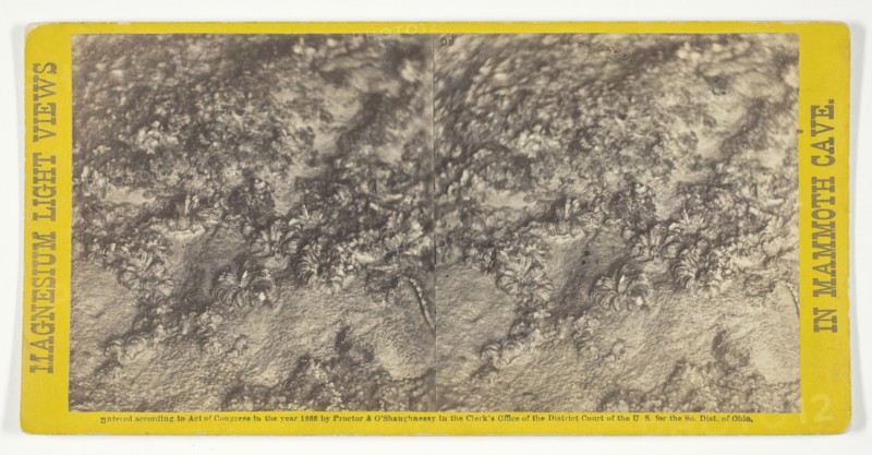 Rosa's Bower, 1866. Creator: Charles Waldack.