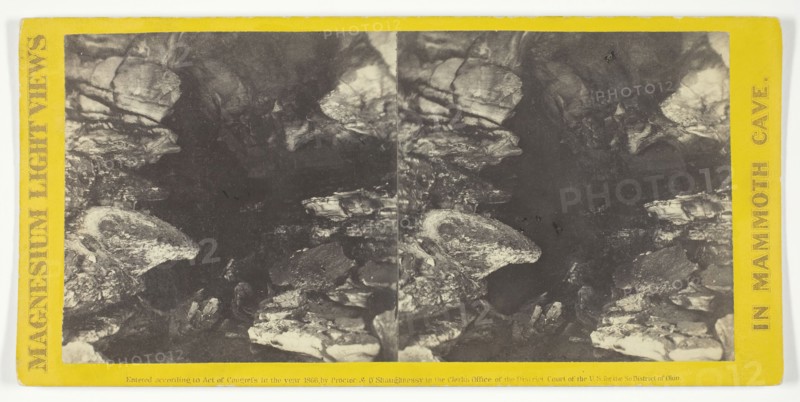Wild Hall, 1866. Creator: Charles Waldack.