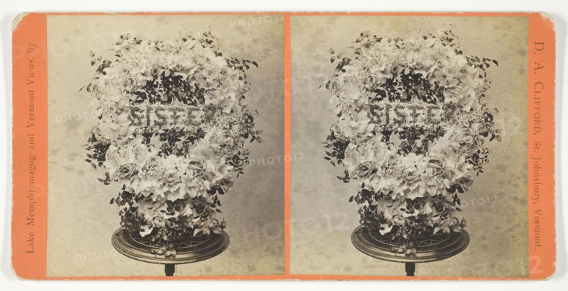 Flower Piece at Kate Bemis' Funeral, April 13, 1886. Creator: D. A. Clifford.