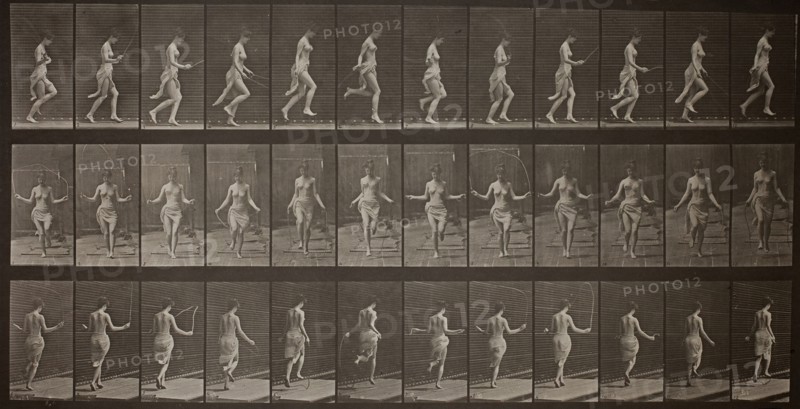 Animal Locomotion, Plate 174, 1887. Creator: Eadweard J Muybridge.