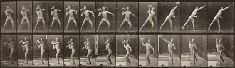 Animal Locomotion, Plate 319, 1887. Creator: Eadweard J Muybridge.