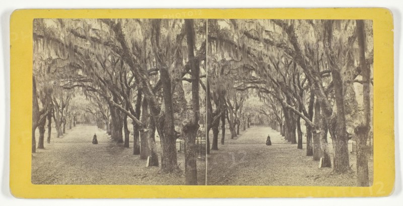 Bonaventure, 1860/80. Creator: J. N. Wilson.