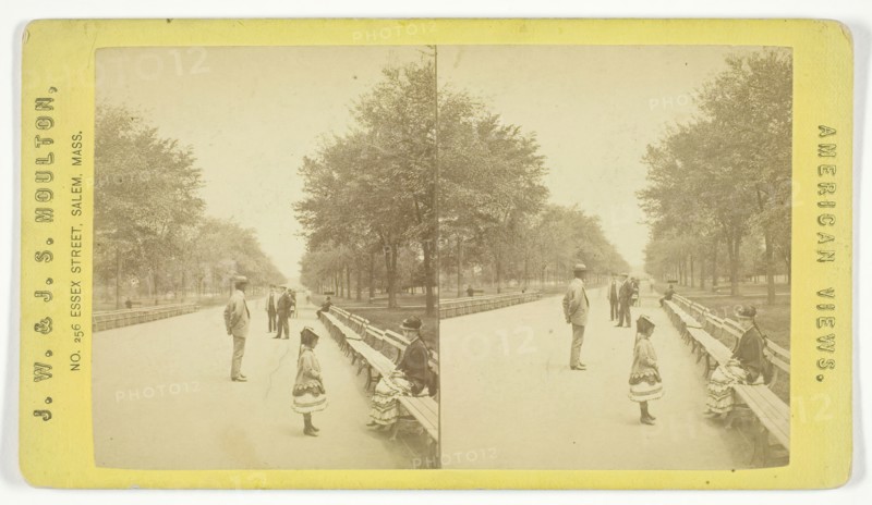 The Mall, 1873/81. Creator: J.W. & J.S. Moulton.