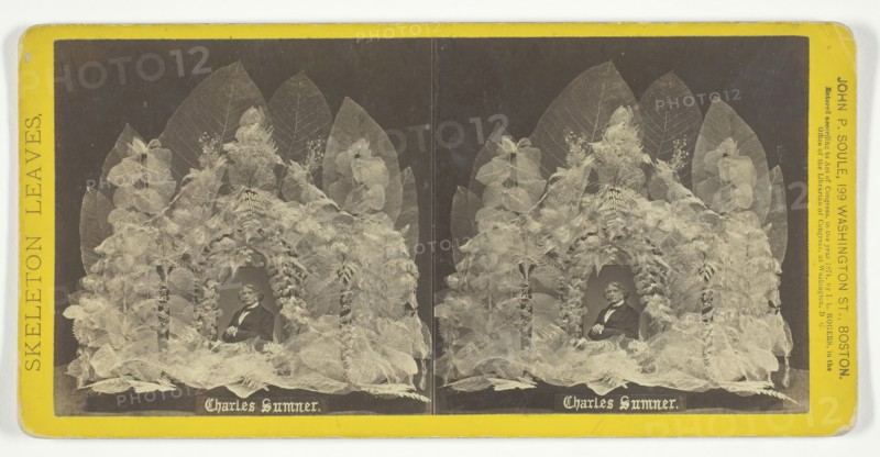 Charles Sumner, 1874. Creator: John P. Soule.