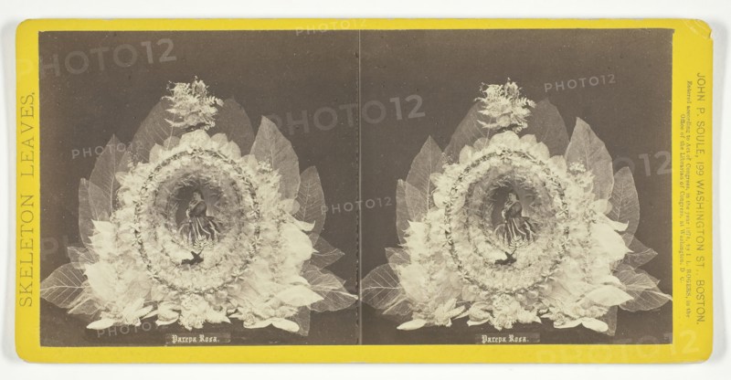 Parepa Rosa, 1874. Creator: John P. Soule.