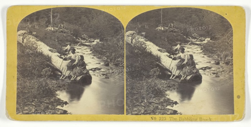 The Babbling Brook, 1855/75. Creators: Kilburn Brothers, BW Kilburn.