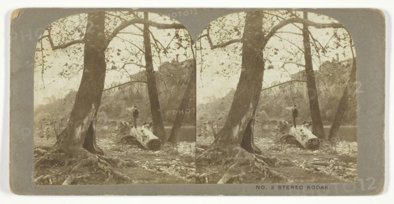 Man standing on a fallen tree, late 19th century.  Creator: London Stereoscopic & Photographic Co.