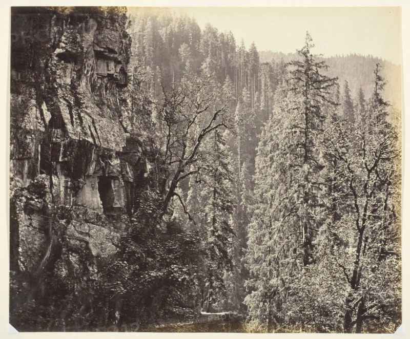Untitled [cliffs and trees], c. 1865.  Creator: Samuel Bourne.