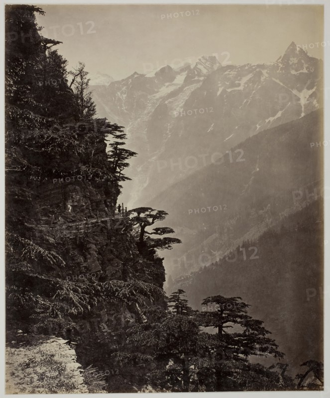 Untitled [hillside and mountains], c. 1865. Creator: Samuel Bourne.
