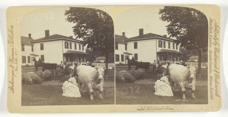 A Farmer's Life for Me, 1894. Creator: Underwood & Underwood.
