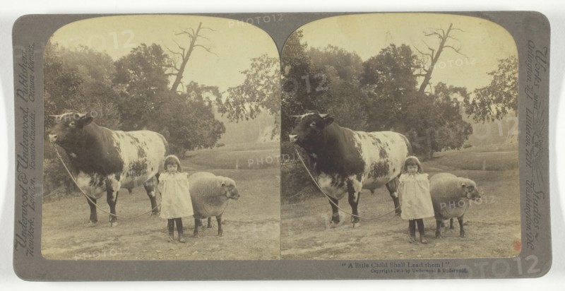 A little Child Shall Lead them!, 1901. Creator: Underwood & Underwood.