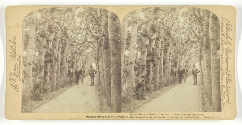 Queen Mary's Bower, Hampton Court, London, England, 1892. Creator: Underwood & Underwood.