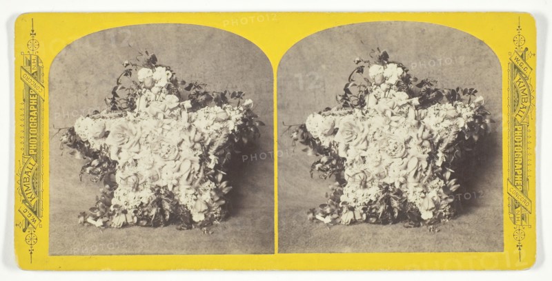 Untitled (Flower Arrangement), 1875/99. Creator: W.G.C. Kimball.