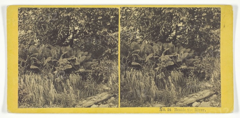 Beside the River, 1868/69. Creator: Whiting Bros.