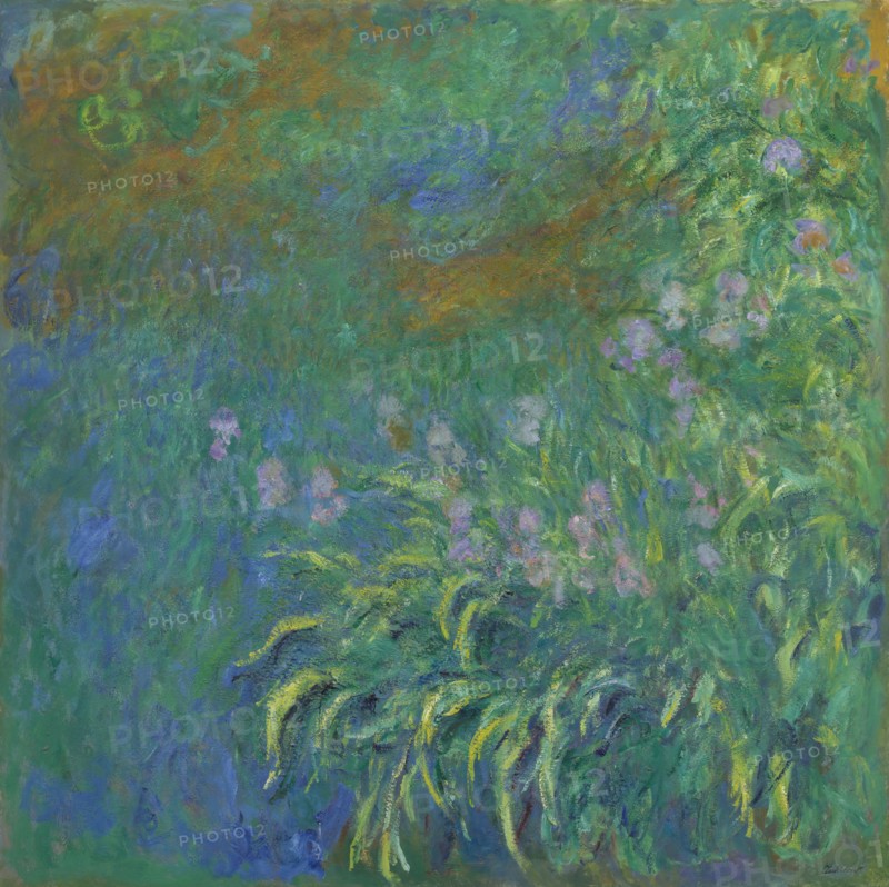 Irises, 1914/17. Creator: Claude Monet.